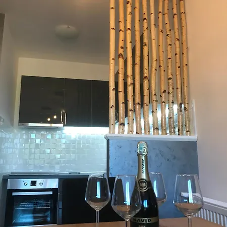Sanja Apartment Banja Koviljaca